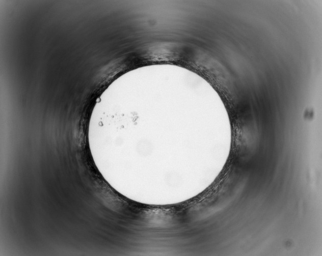 X0000103950422200810101442