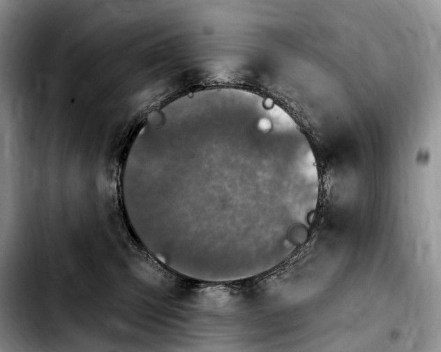 X0000103950423200810101442