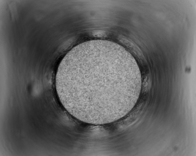 X0000103950424200810101442