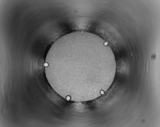 X0000103950425200810101442