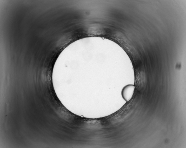 X0000103950426200810101442