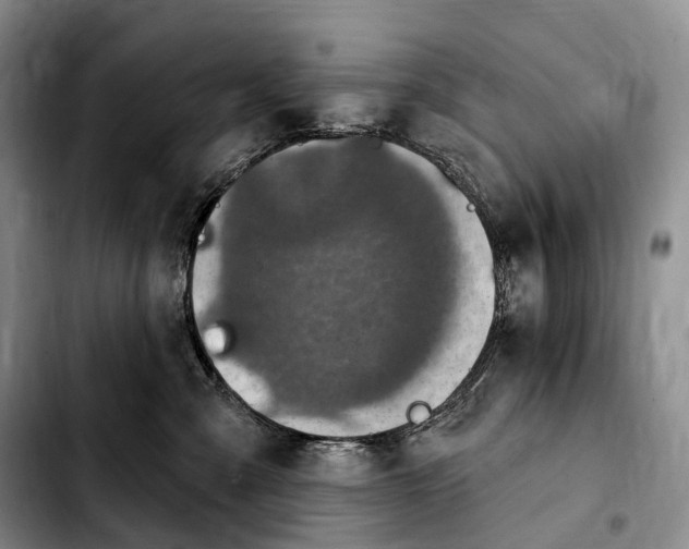 X0000103950427200810101442