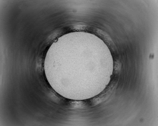 X0000103950428200810101442