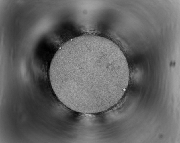 X0000103950429200810101442