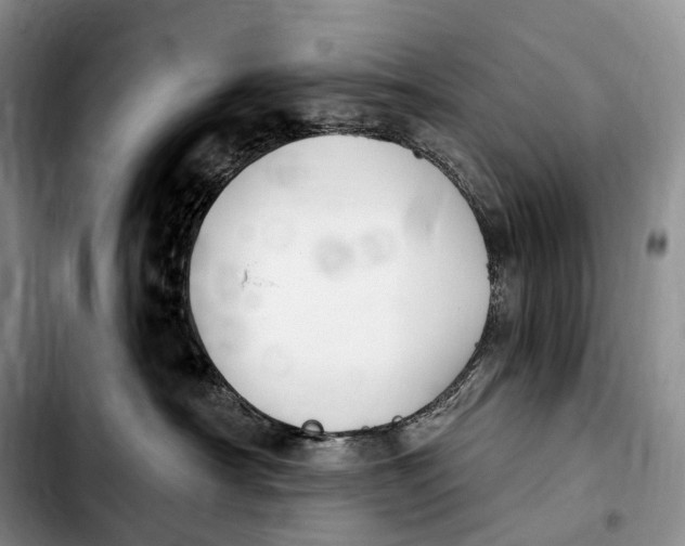 X0000103950430200810101442