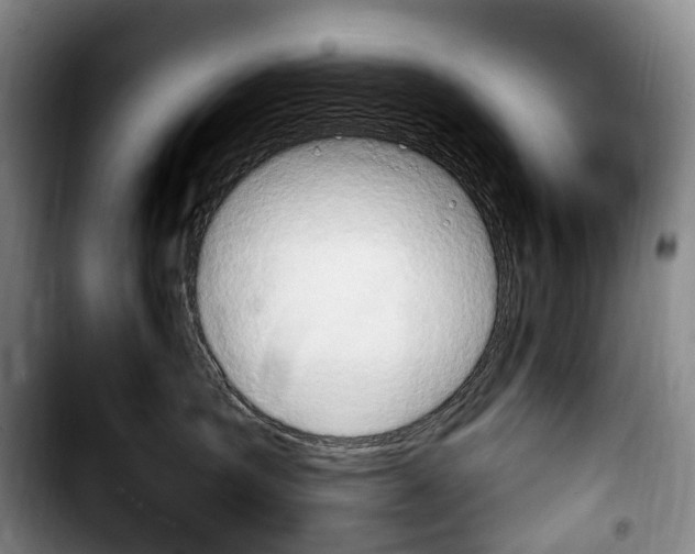 X0000103950431200810101442