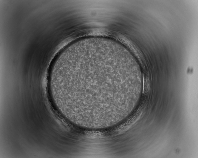 X0000103950435200810101442