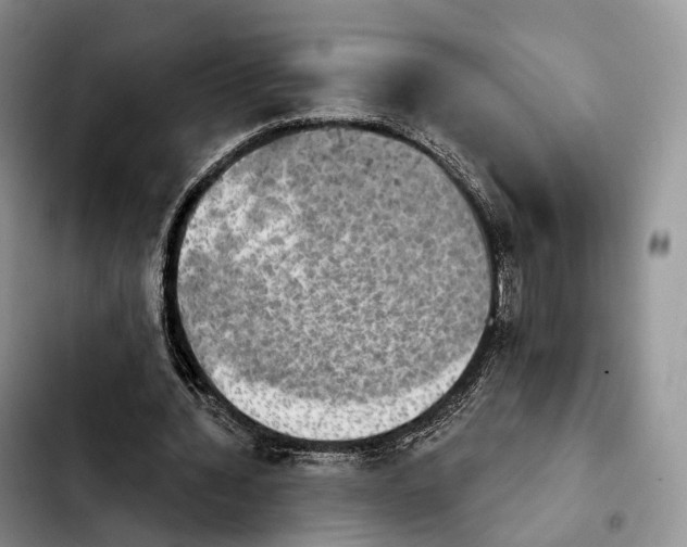 X0000103950436200810101442