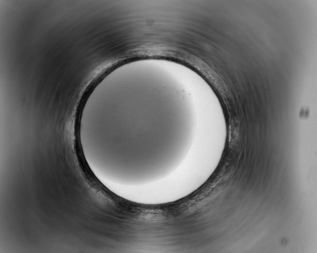 X0000103950438200810101442