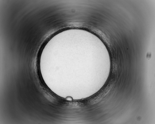 X0000103950439200810101442