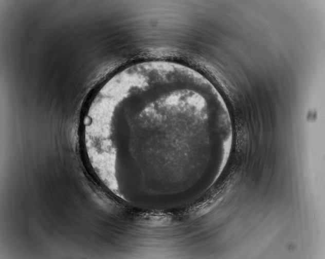 X0000103950443200810101442