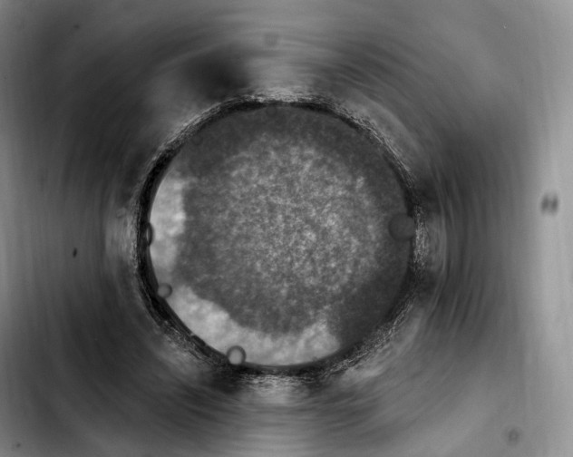 X0000103950444200810101442