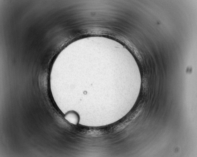 X0000103950445200810101442