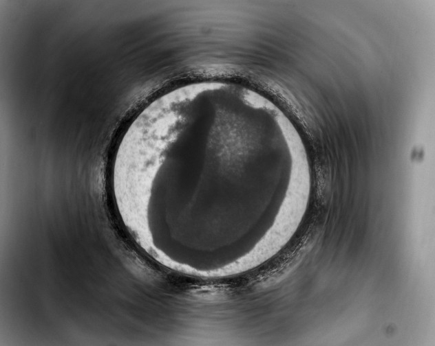 X0000103950447200810101442