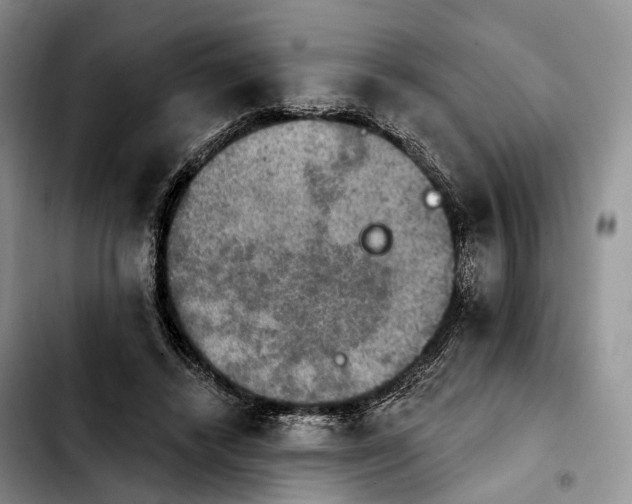 X0000103950448200810101442