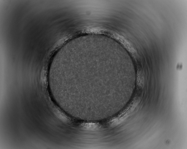 X0000103950449200810101442