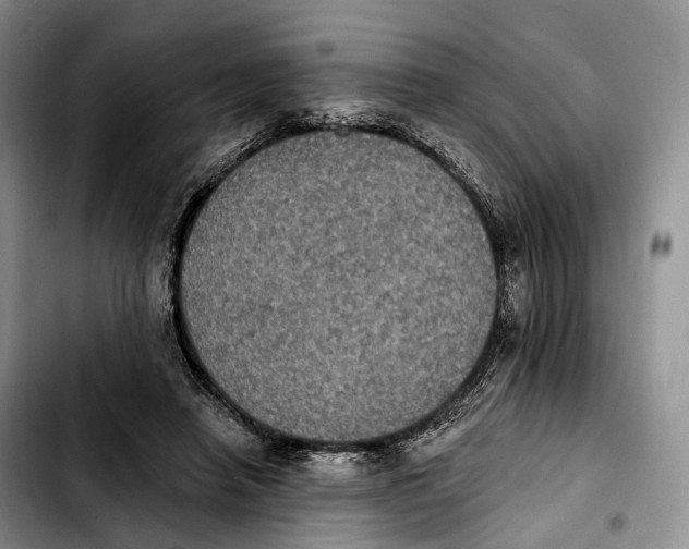 X0000103950450200810101442