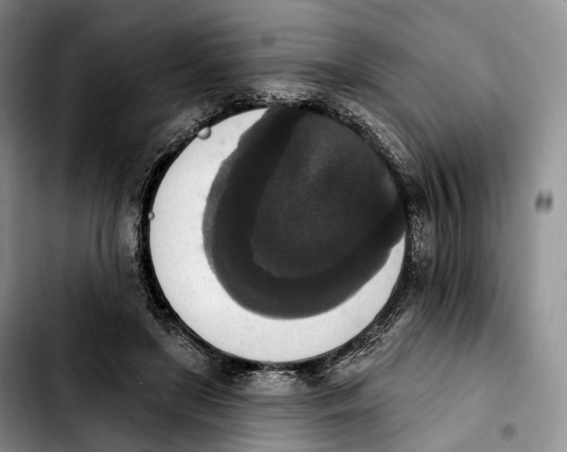 X0000103950451200810101442