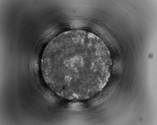 X0000103950452200810101442