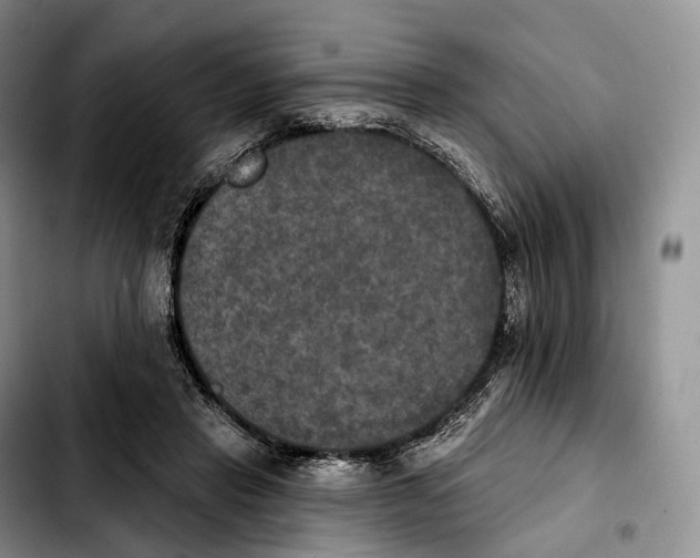 X0000103950453200810101442