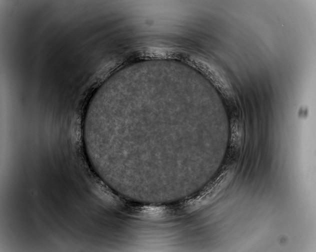 X0000103950457200810101442