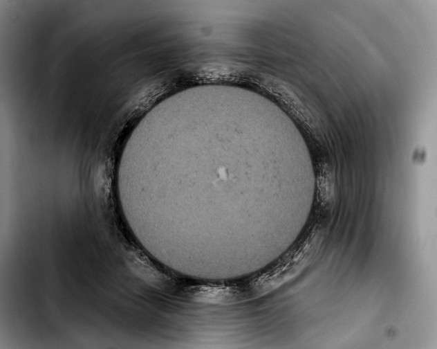 X0000103950458200810101442