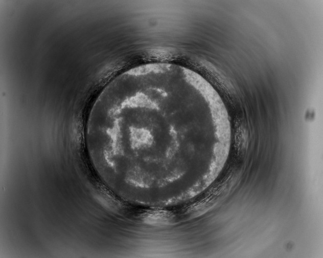 X0000103950459200810101442