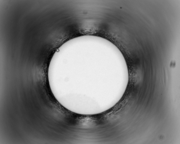 X0000103950460200810101442