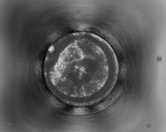 X0000103950461200810101442