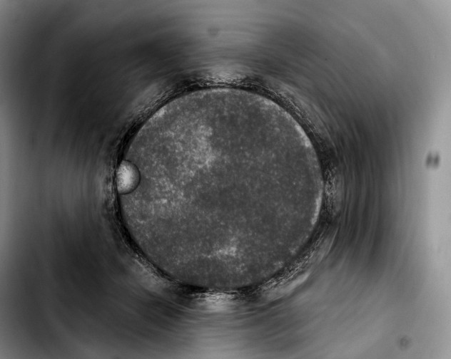 X0000103950462200810101442