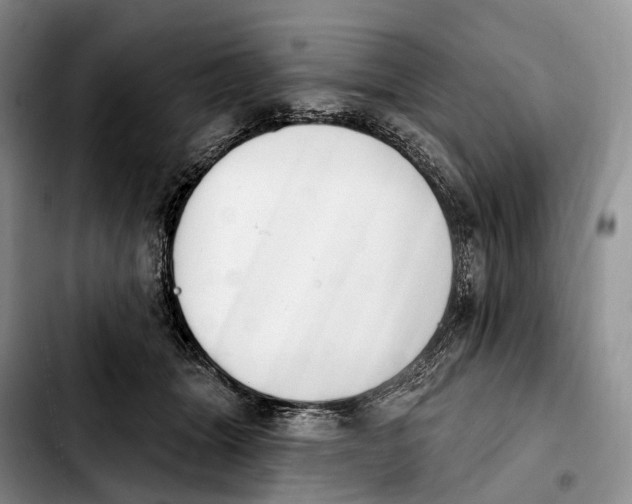 X0000103950463200810101442