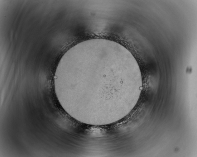 X0000103950464200810101442