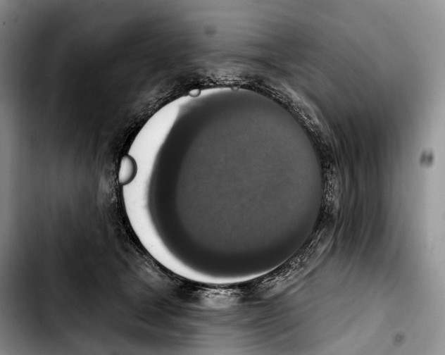 X0000103950465200810101442