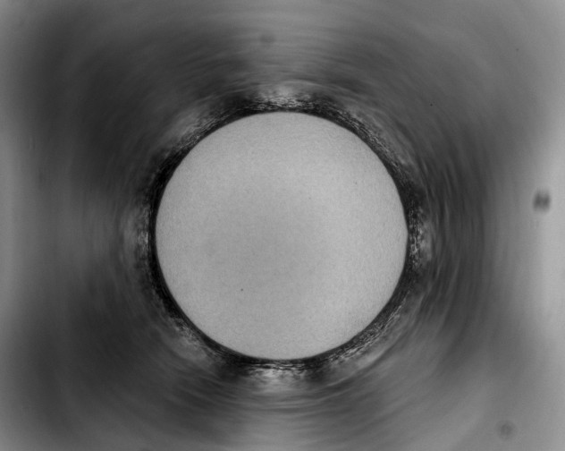 X0000103950466200810101442