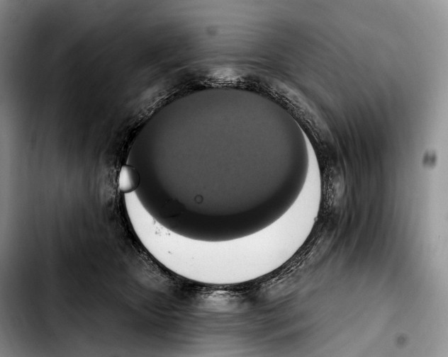 X0000103950467200810101442