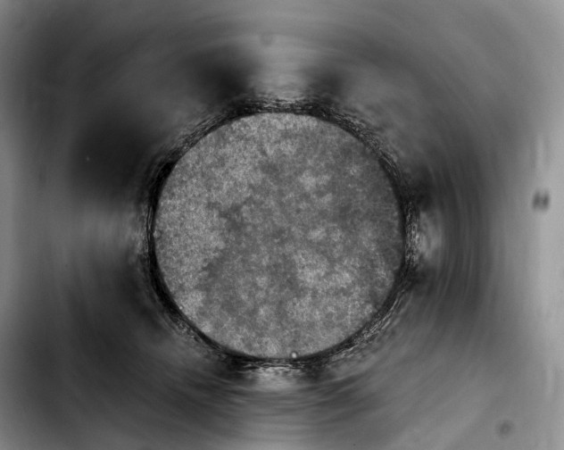 X0000103950468200810101442