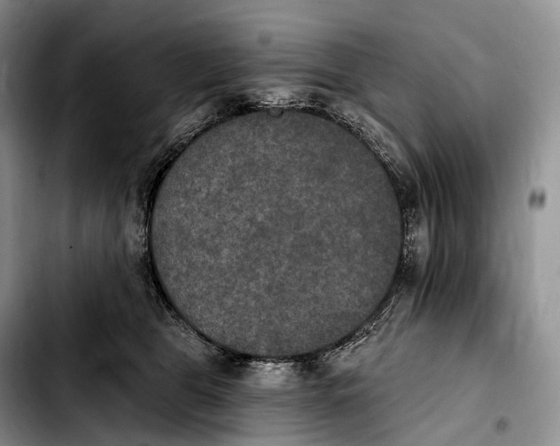 X0000103950469200810101442