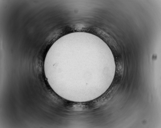 X0000103950470200810101442