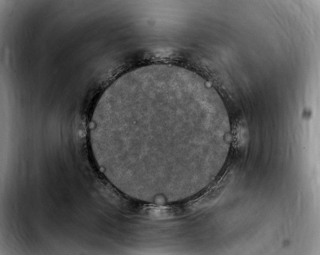 X0000103950472200810101442