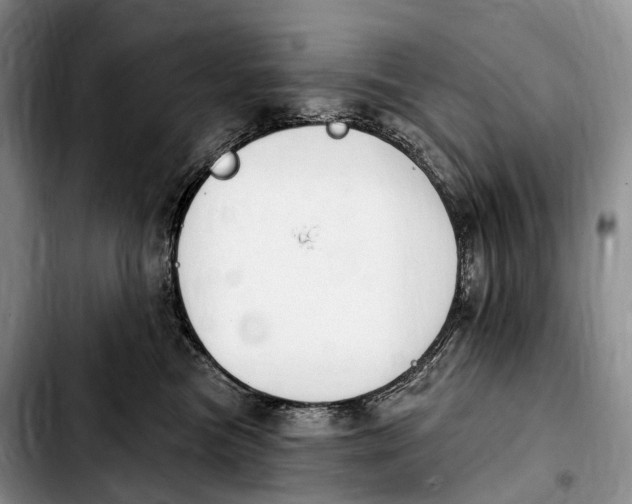 X0000103950473200810101442