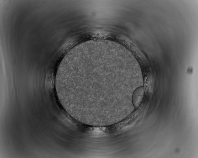 X0000103950474200810101442