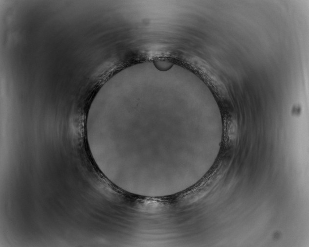 X0000103950475200810101442