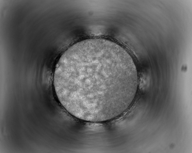 X0000103950476200810101442