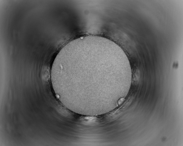 X0000103950478200810101442