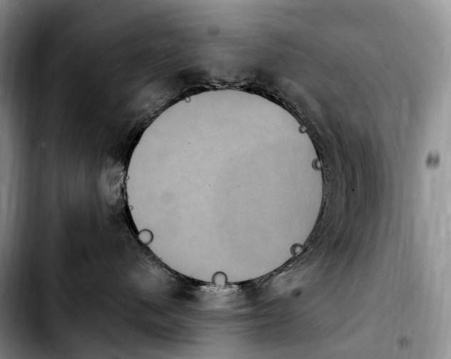 X0000103950480200810101442