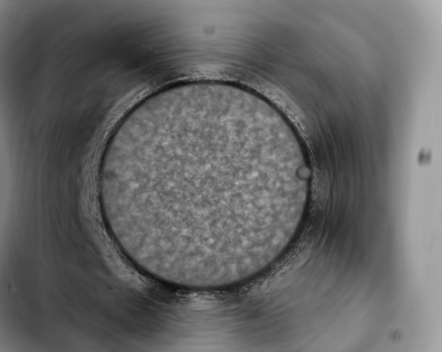 X0000103950481200810101442