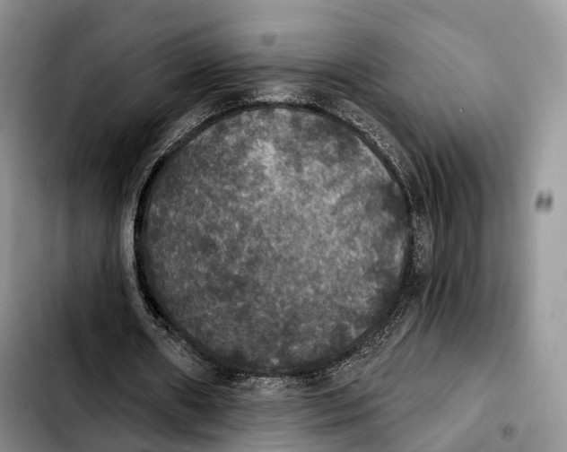 X0000103950482200810101442