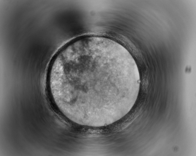 X0000103950484200810101441