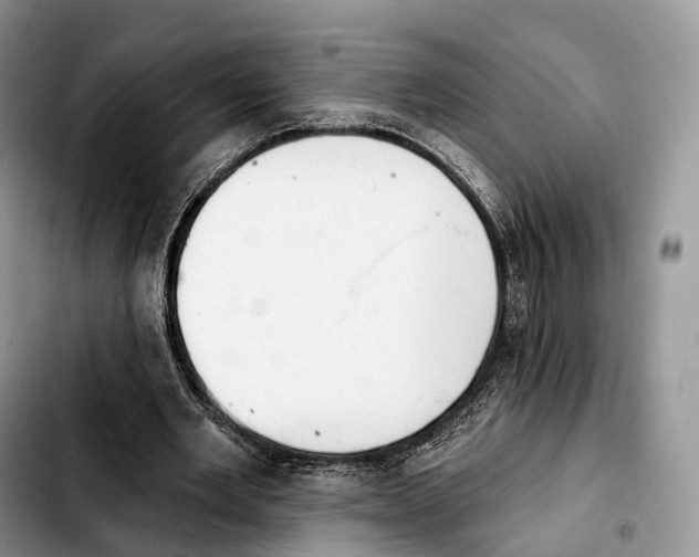 X0000103950485200810101441