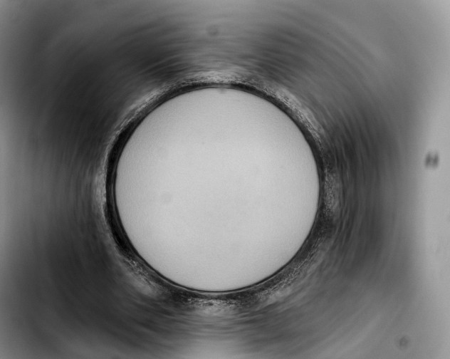 X0000103950486200810101441